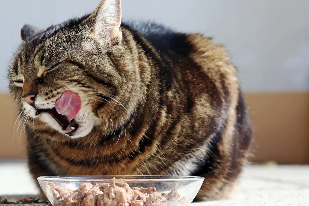 Dicas Práticas para uma Alimentação Saudável